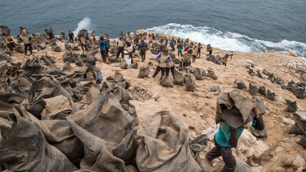 Os objetivos ambientais devem ser alinhados ao longo de toda a cadeia de abastecimento global, diz o relatório. Fonte: GETTY IMAGES.