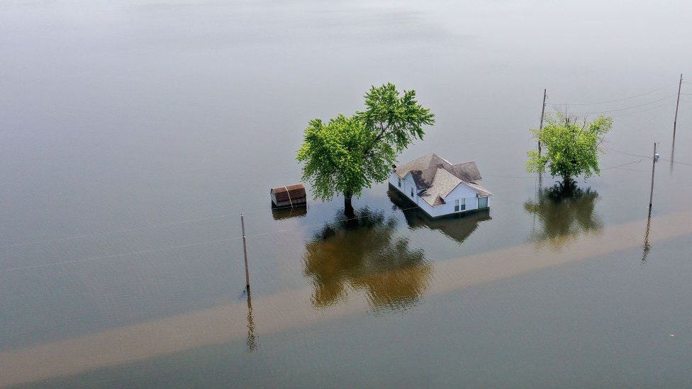 A natureza não é custeada na tomada de decisões econômicas, diz o relatório. Fonte: GETTY IMAGES.