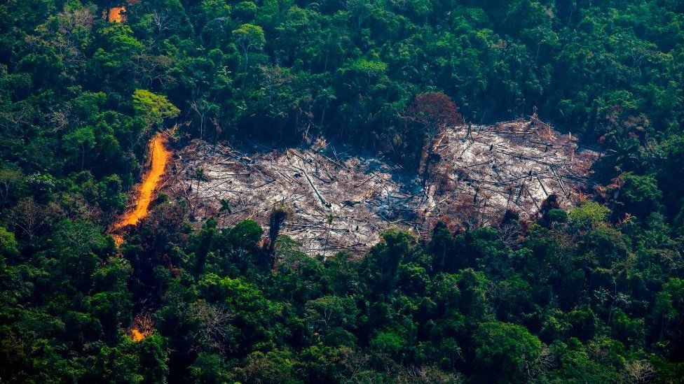 Nossas demandas sobre a natureza são insustentáveis, diz o relatório. Fonte: GETTY IMAGES.