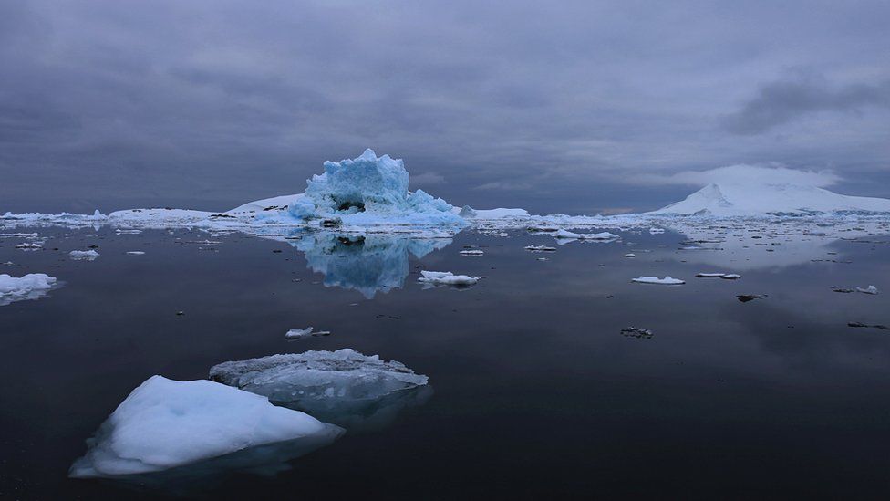 A paisagem sonora mesmo dos ambientes oceânicos mais primitivos foi alterada pela atividade humana. Fonte: VICTORIA GILL.