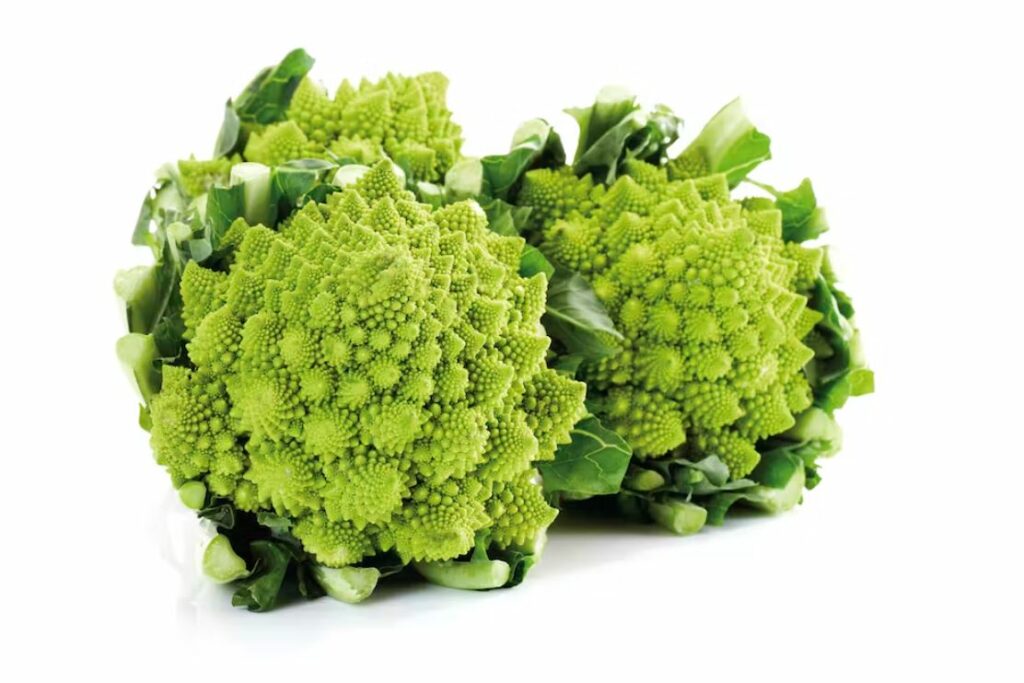 Cada broto de um cacho de brócolis Romanesco é composto por uma série de brotos menores, dispostos em um padrão espiral consistente. Fonte: Creative Studio Heinemann/Westend61 via Getty Images